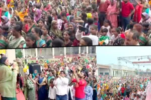 भारतीय संस्कृति और परंपराओं का संरक्षण सभी की जिम्मेदारी: रंजीता धामा