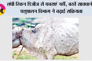 लंपी स्किन डिजीज से घबराएं नहीं, बरतें सावधानी; पशुपालन विभाग ने बढ़ाई सक्रियता