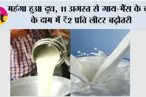 Milk Price Hike: महंगा हुआ दूध, 11 अगस्त से गाय-भैंस के दूध के दाम में ₹2 प्रति लीटर बढ़ोतरी