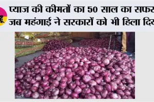 Onion Price Inflation History: प्याज की कीमतों का 50 साल का सफर, जब महंगाई ने सरकारों को भी हिला दिया