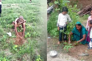 Tree Plantation: पावन अवतार दिवस पर पलामू में साध-संगत ने किया पौधारोपण, दिया पर्यावरण संरक्षण का संदेश