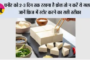 पनीर को 2-3 दिन तक रखना है फ्रेश तो न करें ये गलती, जानें फ्रिज में स्टोर करने का सही तरीका