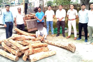 वन विभाग एवं वन्य प्राणी विभाग, कलेसर की बड़ी कार्रवाई
