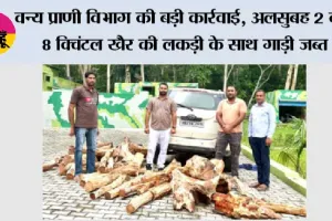 वन्य प्राणी विभाग की बड़ी कार्रवाई, अलसुबह 2 बजे 8 क्विंटल खैर की लकड़ी के साथ गाड़ी जब्त, तस्करों की तलाश जारी