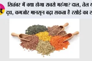 सितंबर में क्या होगा सबसे महंगा? दाल, तेल या दूध, कमजोर मानसून बढ़ा सकता है रसोई का खर्च