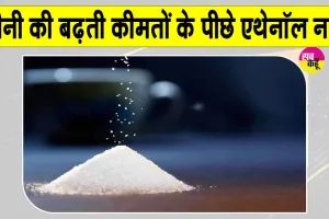 Sugar Price: चीनी की कीमत क्यों बढ़ रही है? विशेषज्ञों ने बताया ये बड़ा कारण!