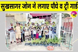 Tree Plantation Campaign: ब्लॉक कल्याण नगर के सुखसागर जोन की साध-संगत ने डिवाइडर पर रोपित किए पौधे 