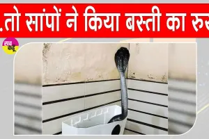 Snake News: कंकरीट साम्राज्य में सांपों को आसरा नहीं मिला तो किया बस्ती का रुख