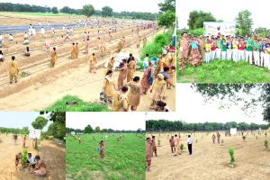 Tree Planting Campaign: पूज्य गुरु संत डॉ. एमएसजी के अवतार दिवस पर धरती को हरियाली का तोहफा