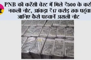 500-Rupee Note: PNB की करेंसी चेस्ट में मिले ₹500 के करोड़ों नकली नोट, आंकड़ा ₹17 करोड़ तक पहुंचा; जानिए कैसे पहचानें असली नोट