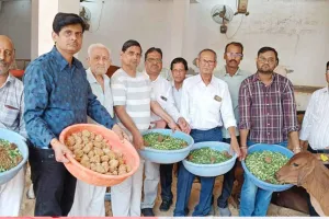 असहाय-बीमार गोवंश को खिलाया हरा चारा-गुड़ 