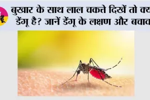 Dengue Symptoms: बुखार के साथ लाल चकत्ते दिखें तो क्या डेंगू है? जानें डेंगू के लक्षण और बचाव