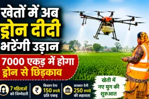 Drone Didi Yojana: फतेहाबाद में अब ‘ड्रोन दीदी’ करेंगी खेतों में छिड़काव, 7000 एकड़ का लक्ष्य