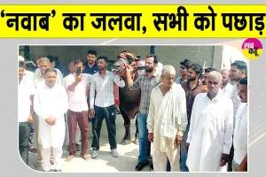 झोटे ‘नवाब’ छाए, पहले स्थान पर आए, गांव वालों ने किया जोरदार स्वागत