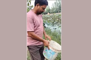Kachhua: नाले में तैरता मिला दुर्लभ कछुआ, सभासद ने रेस्क्यू कर तालाब में छोड़ा