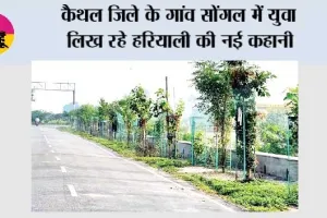 कैथल जिले के गांव सोंगल में युवा लिख रहे हरियाली की नई कहानी