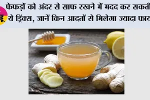 Lung Detox: फेफड़ों को अंदर से साफ रखने में मदद कर सकती हैं ये ड्रिंक्स, जानें किन आदतों से मिलेगा ज्यादा फायदा