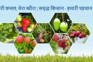 मेरी फसल-मेरा ब्यौरा पर पंजीकरण करवाने का समय खत्म, अभी भी  बड़ी संख्या में ऑनलाइन एंट्री बाकी 