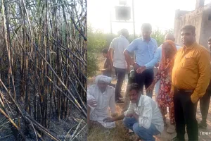 विद्युत लाइन में स्पार्किंग से गन्ने के खेत में लगी आग, 25 बीघा फसल जलकर राख