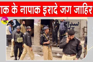Pakistan News: पाकिस्तान में हिंदू युवती के कथित अपहरण, धर्म परिवर्तन व शादी का मामला सुर्खियों में