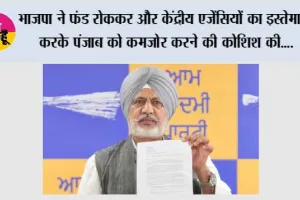 भाजपा ने फंड रोककर और केंद्रीय एजेंसियों का इस्तेमाल करके पंजाब को कमजोर करने की कोशिश की, लेकिन जनता भगवंत मान सरकार के साथ चट्टान की तरह खड़ी है: बलतेज पन्नू