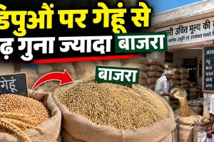 Ration Card Latest News: डिपुओं पर गेहूं से डेढ़ गुना ज्यादा बाजरा, 2.22 लाख परिवारों को मिलेगा मुफ्त राशन