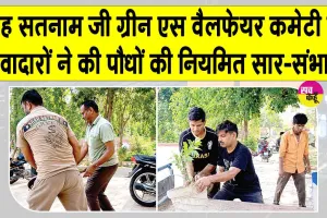 Tree Care: शाह सतनाम जी ग्रीन एस वैलफेयर कमेटी के सेवादारों ने की पौधों की नियमित सार-संभाल