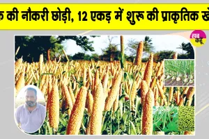 Organic Farming: बैंक की नौकरी छोड़ी, मिट्टी से जोड़ा नाता, 12 एकड़ में कर रहे प्राकृतिक खेती