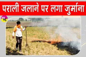Stubble Burning: पराली जलाने की 27 घटनाएं आईं सामने, 10 की पुष्टि; 35 हजार का जुर्माना