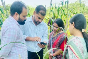 सांख्यिकी निदेशक बीना वर्मा ने किया क्रॉप कटिंग का भौतिक सत्यापन