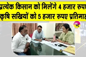 Natural Farming: प्राकृतिक खेती को बढ़ावा, 45 कलस्टरों में किसानों को मिल रही अनुदान सहायता 