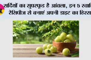 सर्दियों का सुपरफूड है आंवला, इन 5 स्वादिष्ट रेसिपीज से बनाएं अपनी डाइट का हिस्सा