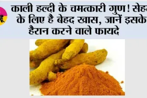 Black Turmeric Benefits: काली हल्दी के चमत्कारी गुण! सेहत के लिए है बेहद खास, जानें इसके हैरान करने वाले फायदे