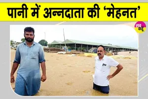 Haryana Punjab Weather News: प्राकृतिक आपदा ने पानी में मिलाई हरियाणा-पंजाब के किसानों की मेहनत