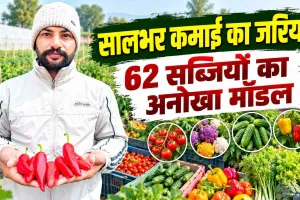 Farmer Success Story: मत्तड़ के किसान गुरप्रीत का 62 सब्जियों का अनोखा मॉडल, किसान हुआ मालामाल