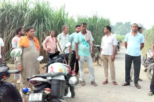 Kairana Theft News: शेखूपुरा के जंगल से दस खंभों के तार काट ले गए चोर