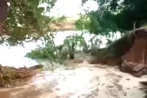 Kutiyana Minor breach: कुतियाना माइनर का कहर, सात दिन में दूसरी बार टूटी; 30 एकड़ फलल जलमगन