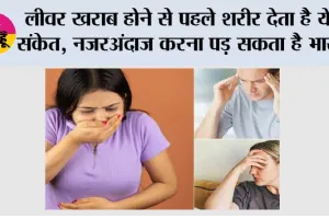 Liver Damage Symptoms:  लीवर खराब होने से पहले शरीर देता है ये संकेत, नजरअंदाज करना पड़ सकता है भारी