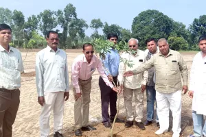 Farmers News: किसानों के लिए सरकार ने खोला सब्सिडी का खजाना, बागवानी पर मिलेगा 50 प्रतिशत तक अनुदान