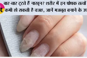 Nail Care Tips: बार-बार टूटते हैं नाखून? शरीर में इन पोषक तत्वों की कमी हो सकती है वजह, जानें मजबूत बनाने के उपाय