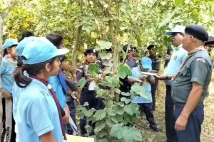 Nature Study Camp: मियावाकी जंगल में बच्चों ने जाना प्रकृति का महत्व 