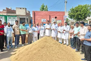 Paddy Price: 1509 धान की निजी खरीद शुरु, जाने कितना लगा भाव ?