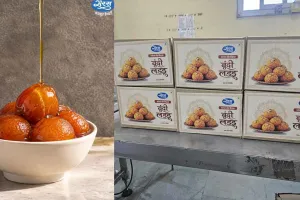 Jaipur Dairy News: जयपुर डेयरी इस बार दिवाली पर बेचेगी 100 टन मिठाईयां