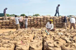 Mandi News: बारिश का कहर जारी, मंडियों में धान भीगने से किसान परेशान