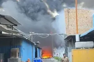 Tohana Battery Factory Fire: टोहाना के बैटरी स्टोर में भीषण आग, लाखों का नुकसान 