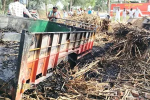शॉर्ट सर्किट से ट्रैक्टर-ट्रॉली में लगी आग, नया ट्रैक्टर और चारा जलकर राख
