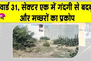 वर्षों से खाली प्लॉट बना परेशानी, कचरे और झाड़ियों से आसपास के लोग परेशान 