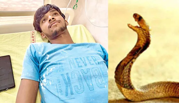 Snake Bite: युवक को सांप ने डसा, अस्पताल में भर्ती 