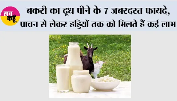 Goat Milk Benefits: बकरी का दूध पीने के 7 जबरदस्त फायदे, पाचन से लेकर हड्डियों तक को मिलते हैं कई लाभ