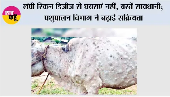 लंपी स्किन डिजीज से घबराएं नहीं, बरतें सावधानी; पशुपालन विभाग ने बढ़ाई सक्रियता